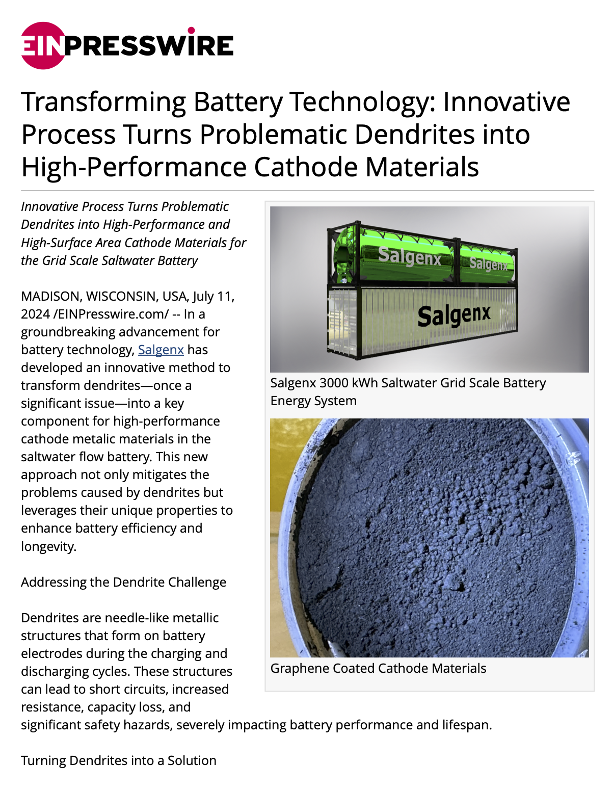 Transforming Battery Technology: Innovative Process Turns Problematic Dendrites into High-Performance Cathode Materials